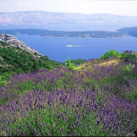 Charming Old Town Getaway * Stari Grad (Hvar)